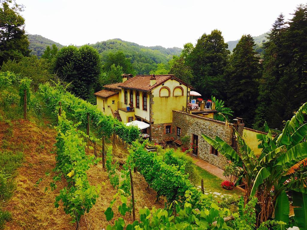 Вилла A Casa Del Tosi Лукка Экстерьер фото