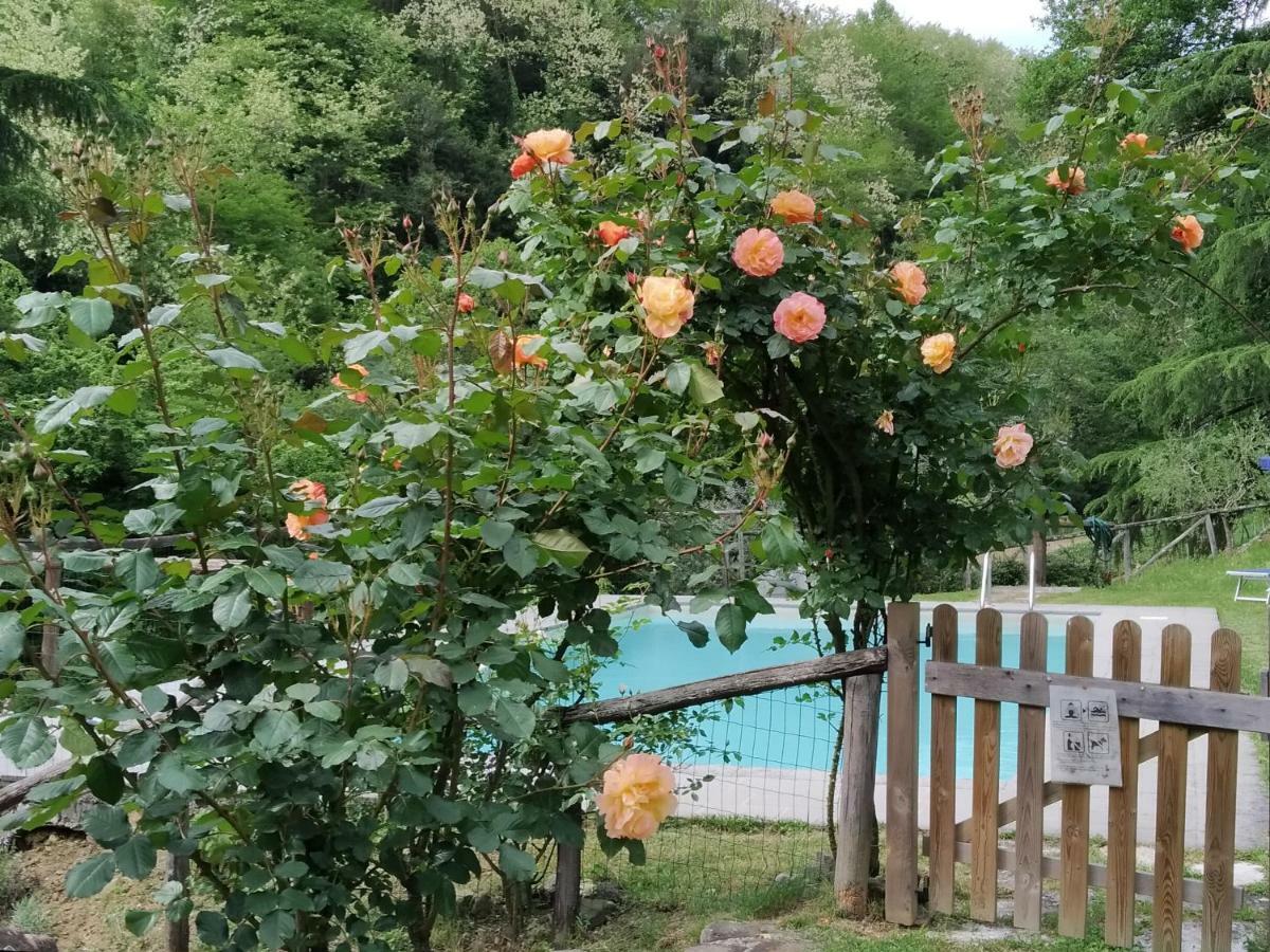 Вилла A Casa Del Tosi Лукка Экстерьер фото
